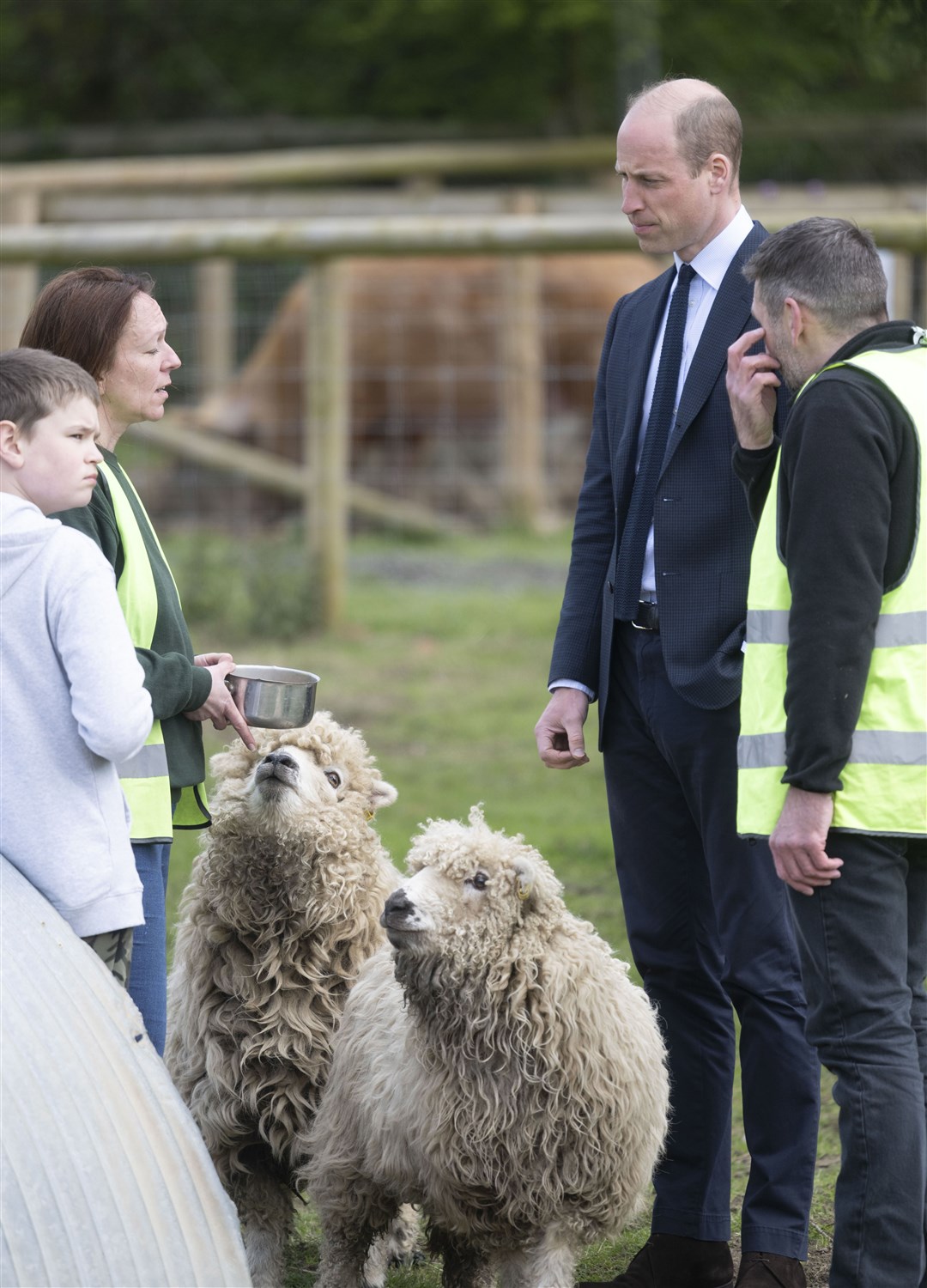 The Prince of Wales was shown the farm’s greyface Dartmoor sheep (David Rose/PA)