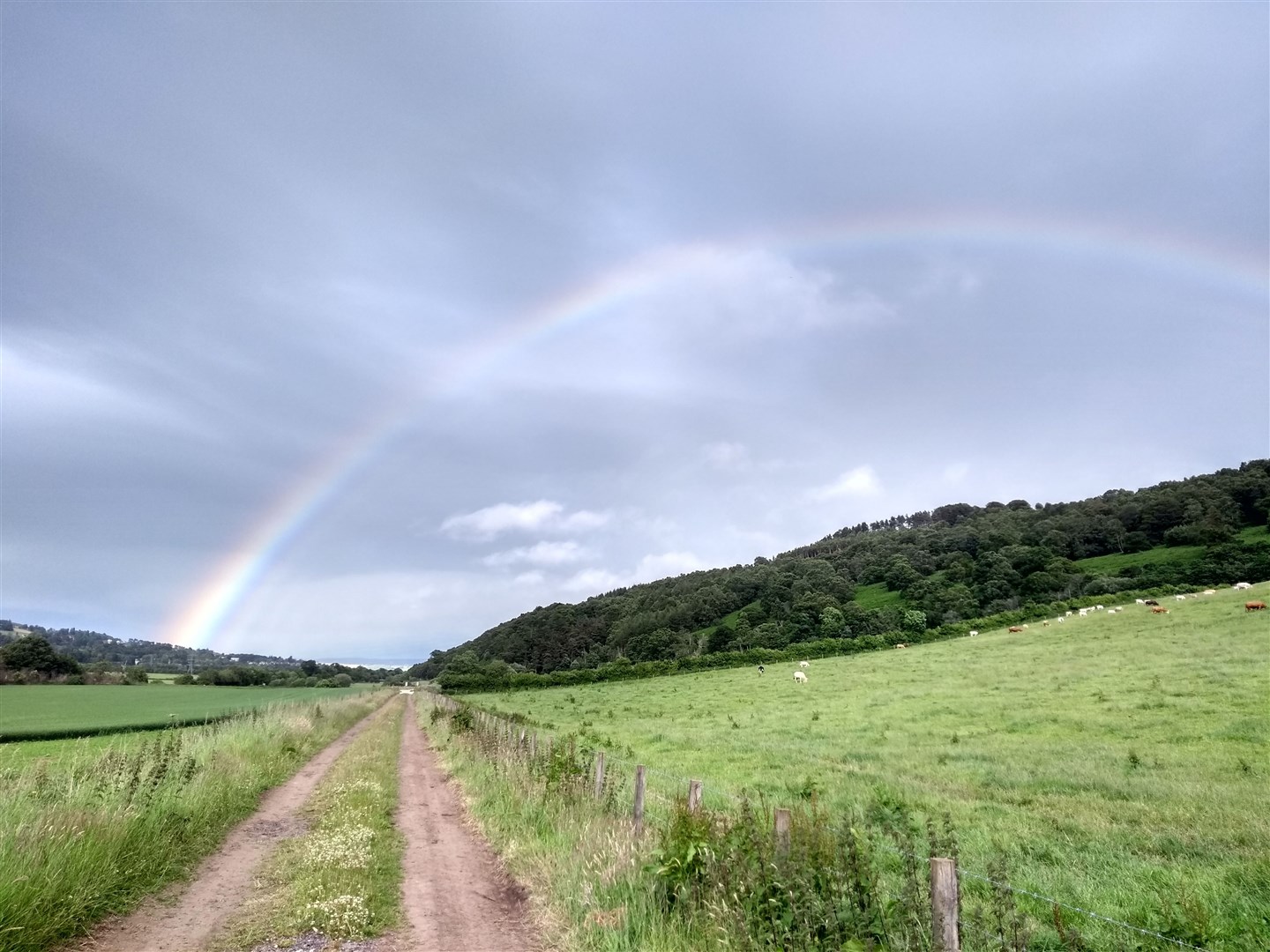 A rainbow over Dingwall as seen from the Peffery Way at Fodderty. Picture: Angela Radin.