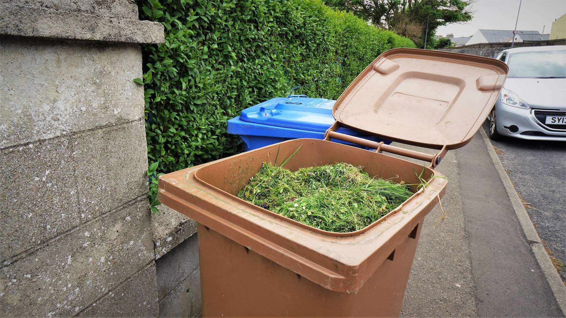 Highland Council says the brown bin system helps divert unnecessary garden waste to landfill. Picture: DGS