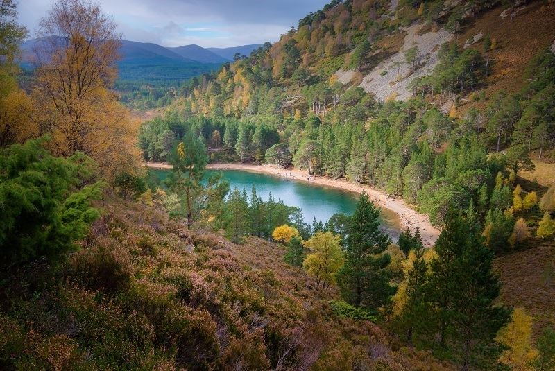 Magical places to visit.... An Lochan Uaine (The Green Lochan) in Glenmore Forest Park is another of the stunning beauty spots in the Cairngorms.