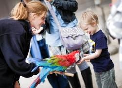Discover just how smart parrots are by checking out the talks at Blackpool Zoo
