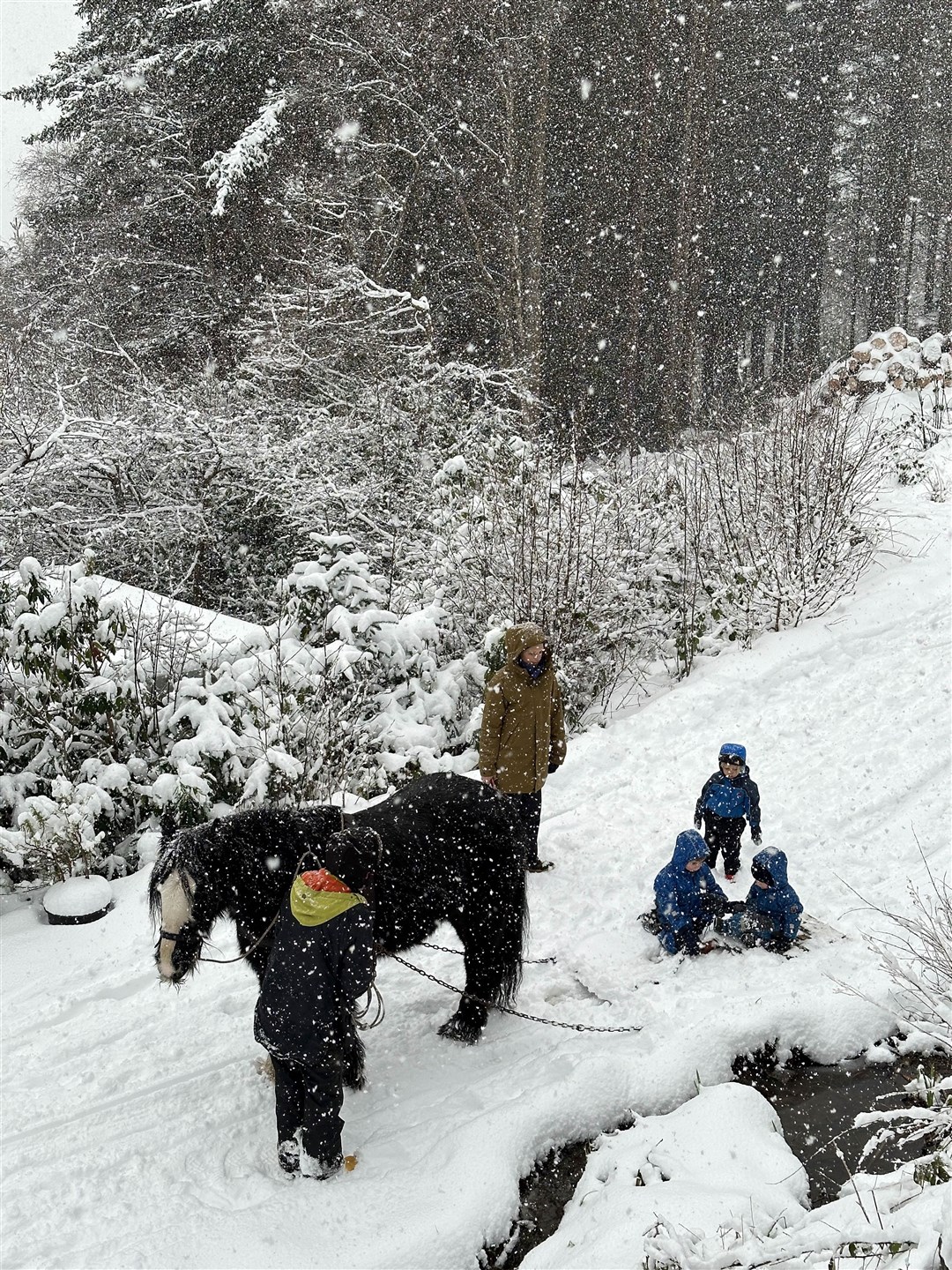 Timber the horse and kids have fun in the heavy Wester Ross snowfall. Picture: Sam Planterose.