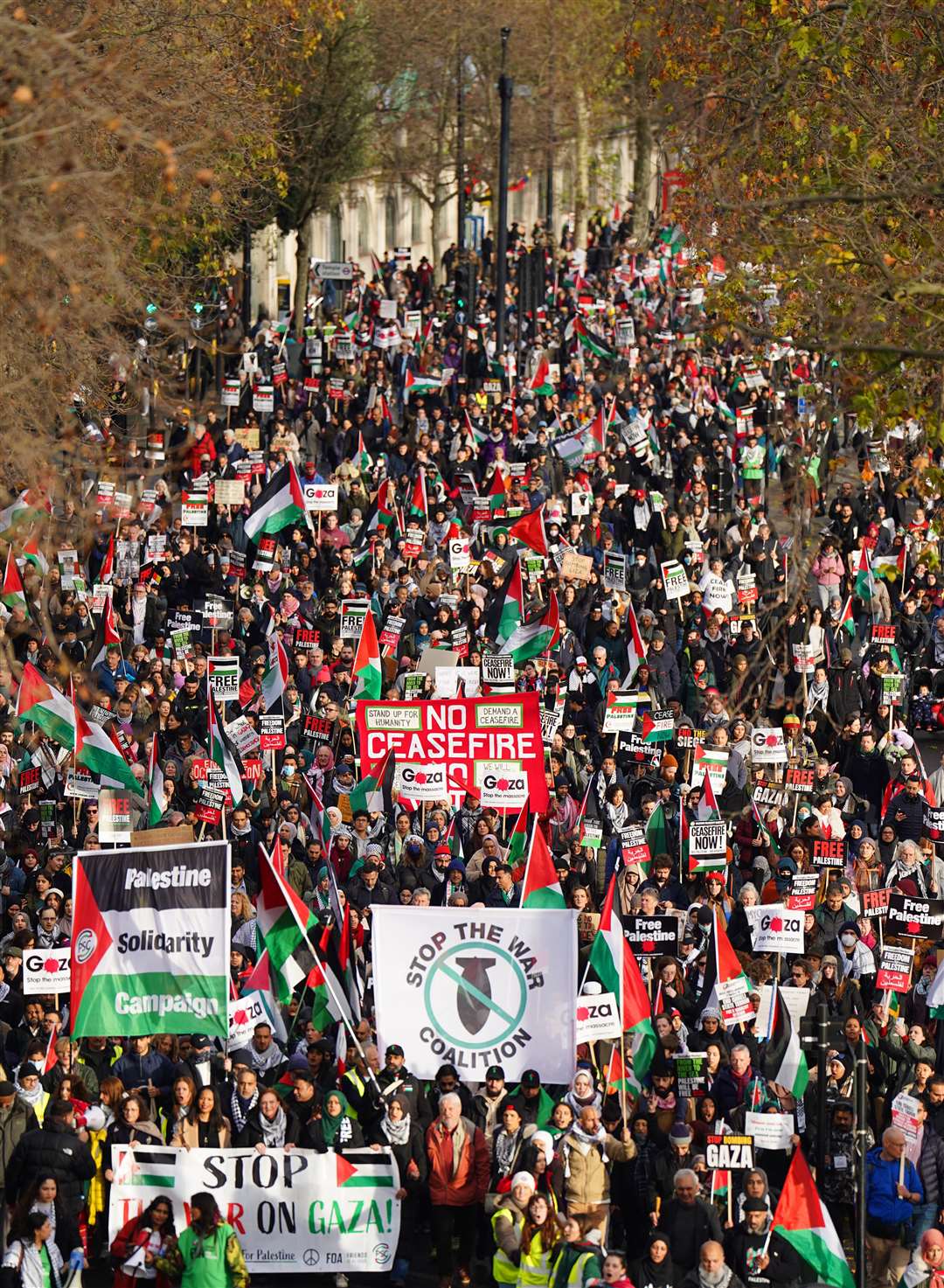 Protesters on the Embankment during a pro-Palestine march (James Manning/PA)