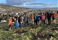 PICTURES: Dingwall tree-planting blitz takes shape 