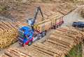 Scottish Forestry fund for timber transport projects in rural communities