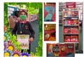 Black Isle book bugs nail another summer reading challenge