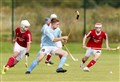 Shinty league and cup competitions are scrapped for 2020