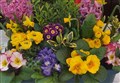 Tain and District Flower Club announce floral demo