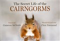 Nature photo book revealing "secret life" of Cairngorms tops public choice poll