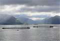 Mowi Scotland wins appeal over Loch Hourn fish farm 