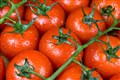 Shortage of tomatoes widening to more products and likely to last ‘weeks’
