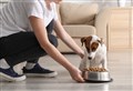VET SPEAK: Large meals can lead to dangerous problems for dogs