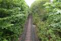 Tree management work on railway section in Easter Ross near Evanton start this week