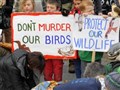 Conference focuses on Highland wildlife crime 