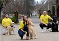 Arctic challenge is paw-fect chance to raise cash for Highland Hospice