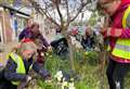 Young Easter Ross gardeners get stuck in to High Street task 