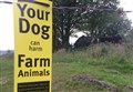 Highlands police issue warning to dog owners after a number of sheep worrying incidents 
