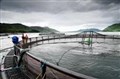 Skills probe challenge for aquaculture