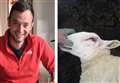 Ross-shire crofter's heartfelt plea after sheep attack: 'It's not the dog's fault, it's the owner's responsibility'