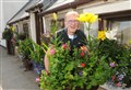Ex-chef delights Dingwall with blooming beautiful displays of flowers