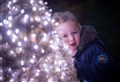 PICTURES: Festive fun in the forest as Black Isle event sheds light on winter gloom