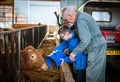 PICTURES: Close encounters of the cuddly kind for Ross kids on farm visit 