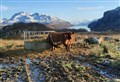 Wester Ross crofters voice concern over land auction by Scottish Water 