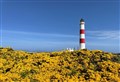 Ross-shire through the Lens: Tarbatness lighthouse in a sea of gorse 