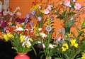 FLOWER POWER: Black Isle scene set for return of full horticultural show 