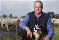 Easter Ross farm to trailblaze online coronavirus-busting sheep auction 