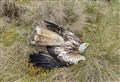 Why the police stayed silent on poisoned red kite in Highlands 