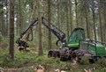 New initiative 'will be a catalyst for forestry jobs'