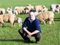 Fearn farmer pioneers Scottish lamb first