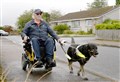 Guide dog learns new tricks to carry on helping his master