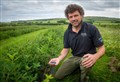 Top of the crops: Cullisse 'superberry' harvested in lockdown looks set to be a hit 
