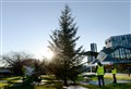 Head-turning Christmas tree arrives at Eden Court as part of poignant coronavirus tribute 