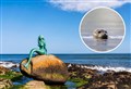 Seaboard 'selkie' could join mermaid on mythical sculpture trail