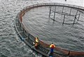 £460k boost to Highland aquaculture industry