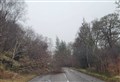 Tree hazard on Kinlochewe to Gairloch A832 route cleared
