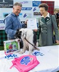 Princess presents Bess with top dog honour at Tain