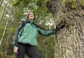 Highland oak in running for Tree of the Year title