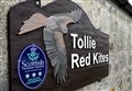Pioneering Ross-shire red kite centre to close after 14 years 
