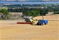 Ross-shire through the Lens: Barley harvest weather windows caught in Easter Ross 