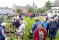 £1000 raised from Ross-shire plant sale