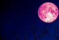 Strawberry Moon will be on show from 8pm tonight