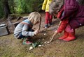 Wester Ross forest nursery given glowing report by inspectors