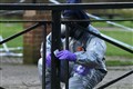 What is Novichok and how has it been used?