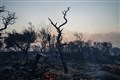 World unlikely to limit temperature rise to 2C, warns climate scientist