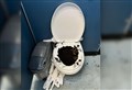 Kyle toilet vandals urged to ‘spare a thought for our staff’