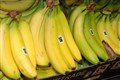 UK retailers urged to join action that ensures banana workers earn living wage